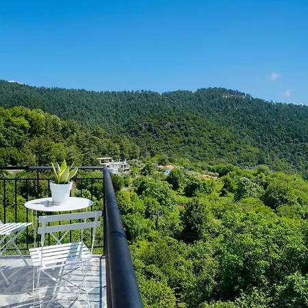 Avli 1976 Apartment Panagia (Thasos)